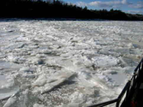 A view of thick ice on the Penobscot River along Bald Hill Cove